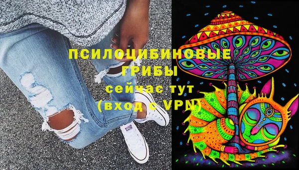 ПСИЛОЦИБИНОВЫЕ ГРИБЫ Балахна