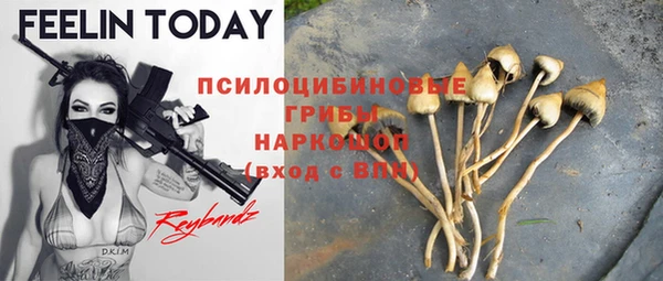 ПСИЛОЦИБИНОВЫЕ ГРИБЫ Балахна